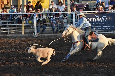 Rodeo Coulee City