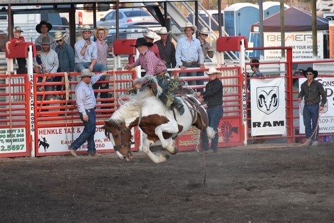 Rodeo Coulee City