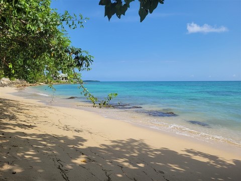 Jamaique