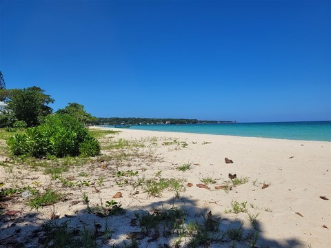 Jamaique