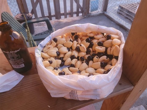 Jamaique