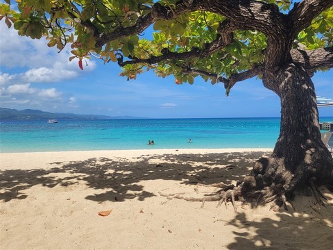 Jamaique