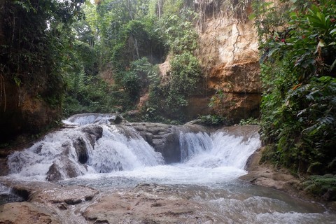 Jamaique