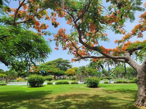 Jamaique
