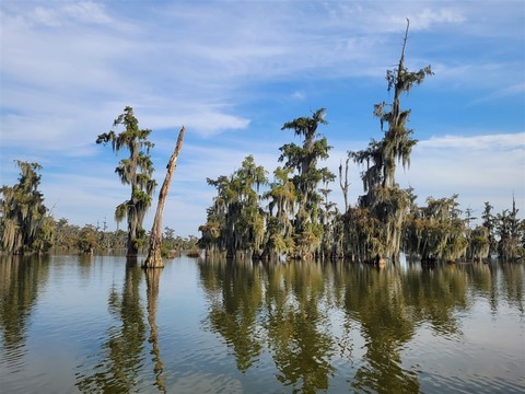 La Louisiane