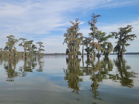 La Louisiane