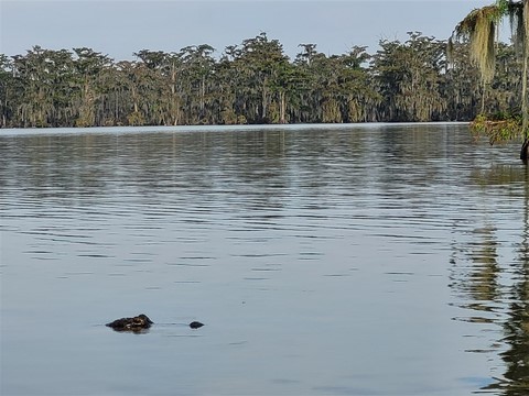 La Louisiane