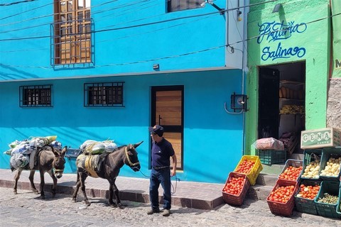 Guanajuato