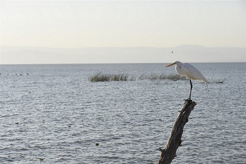 Mexique