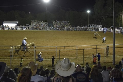 Rodeo