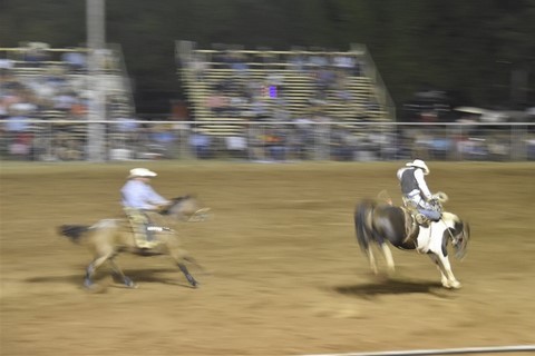 Rodeo