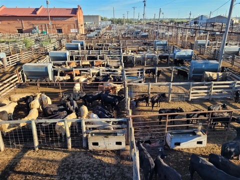 Oklahoma National Stockyards