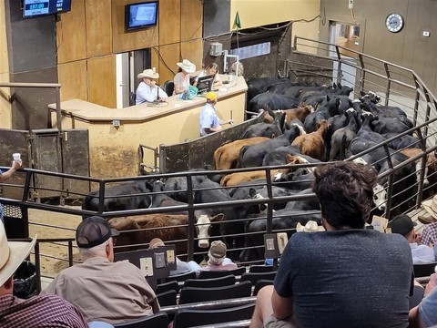 Oklahoma National Stockyards