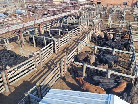 Oklahoma National Stockyards