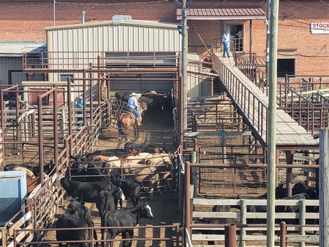 Oklahoma National Stockyards