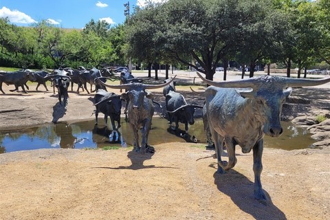 Dallas